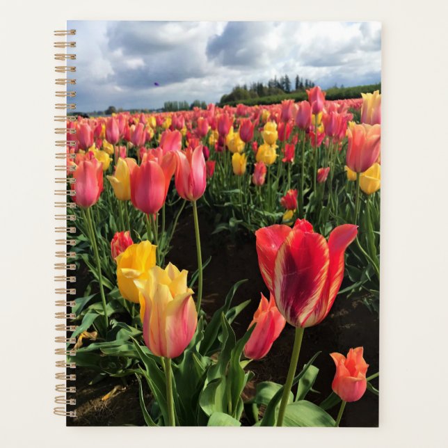Agenda Tulipas bonito de Primavera em campo, Oregon (Frente)