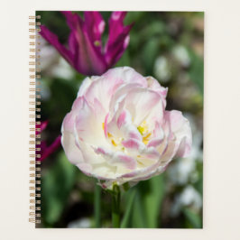 Agenda Tulipas cor-de-rosa brilhantes num dia ensolarado