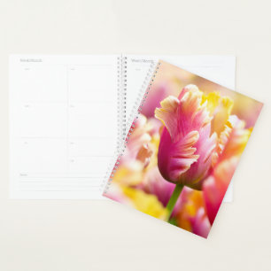 Agenda Tulipas de Fechamento