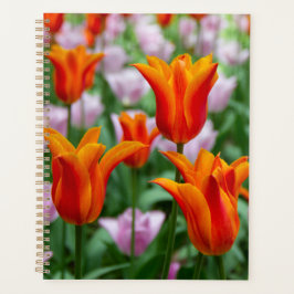 Agenda Tulipas laranja brilhante no parque