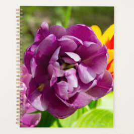 Agenda Tulipas lilás num dia ensolarado