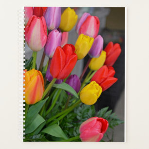 Agenda Tulipas primavera coloridas