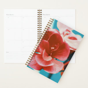 Agenda Turquesa de Flores Vermelhas na moda pálidas de Co