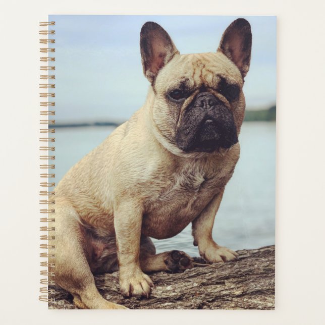 Agenda Um Buldogue Francês (Frente)