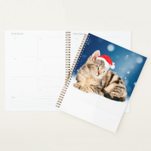 Agenda Um gato bonito vestindo o Papai Noel vermelho e a