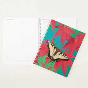 Agenda Uma Borboleta Canadense Tiger Swallowtail