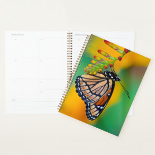 Agenda Uma Borboleta Viceroy em Flores
