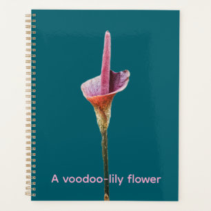Agenda Uma flor de lírio-voodoo