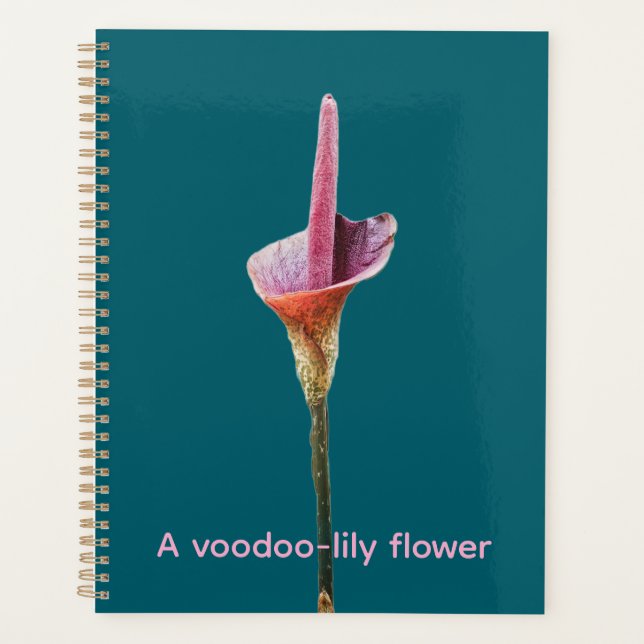Agenda Uma flor de lírio-voodoo (Frente)