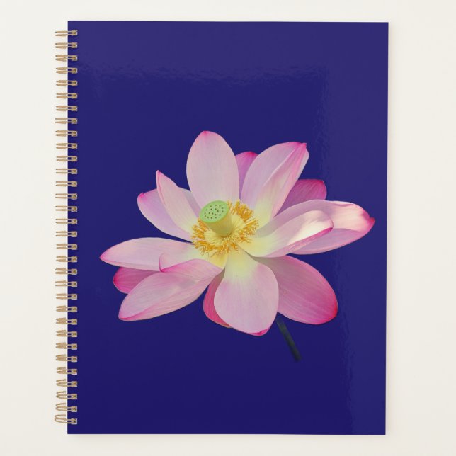 Agenda Uma flor de lótus vibrante (Frente)