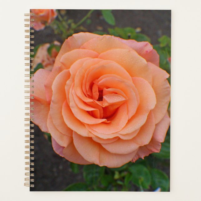 Agenda Uma Única Flor de Laranja (Frente)