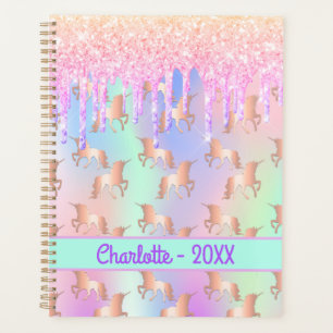 Agenda Unicorns cor-de-rosa nome holográfico