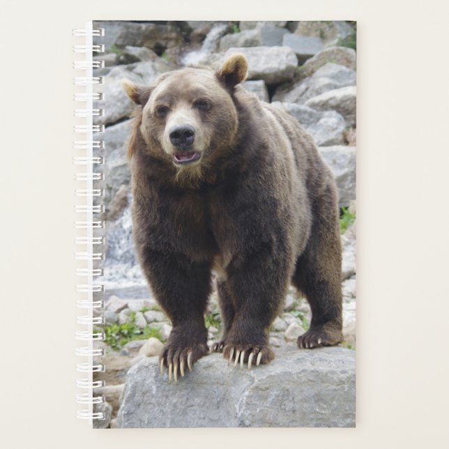 Agenda Urso Kodiak (Frente)