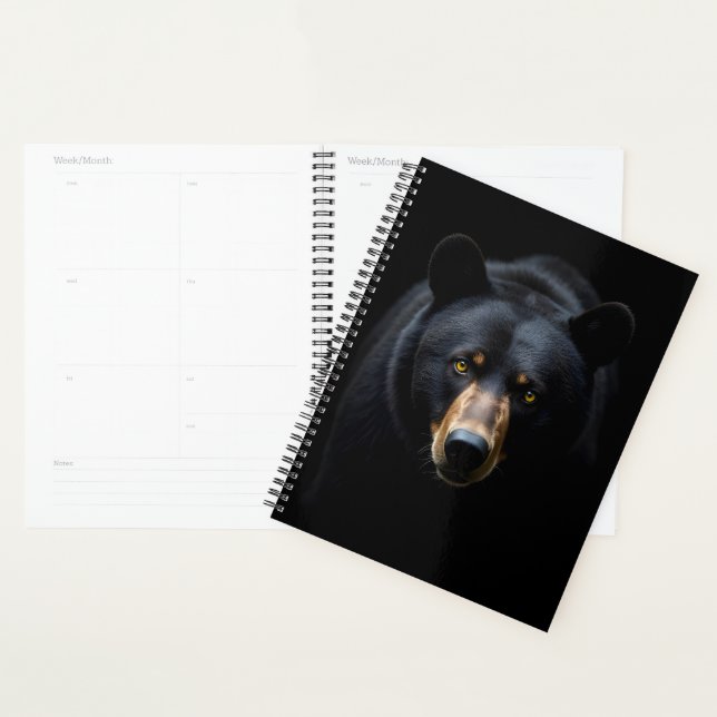 Agenda Urso Negro (Exibição)
