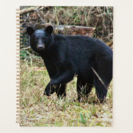 Agenda Urso Negro da Flórida