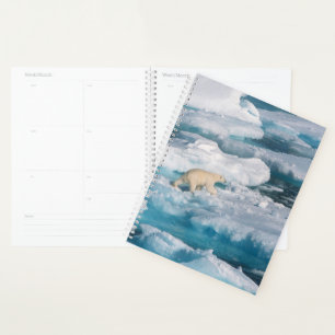 Agenda Urso Polar caminhando no Mar