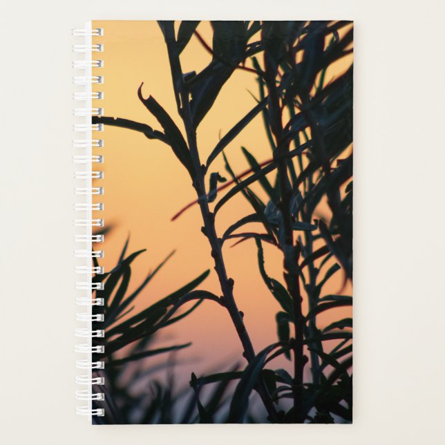 Agenda Vegetação ao pôr do sol (Frente)