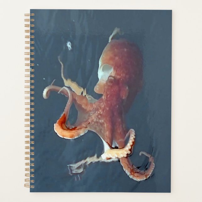 Agenda Vibrant Octopus Marine Life Ocean Lovers Marine (Frente)
