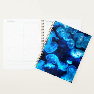 Agenda Vida Marinha da Água-Vidro Azul Náutica