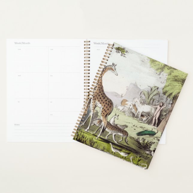 Agenda Vinheta (Exibição)