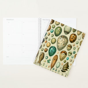 Agenda Vintage Bird Ovos de Peixes Franceses