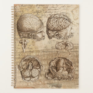 Agenda Vintage Brain Anatomia em Colagem em Perturbação