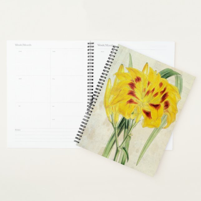 Agenda Vintage Distichous Daylily Com Flor Duplo (Exibição)
