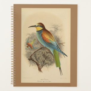 Agenda Vintage - Ilustração do Bee-Eater Europeu