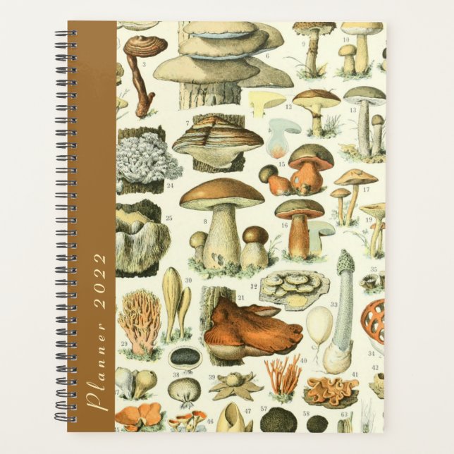 Agenda Vintage Millot Mushrooms & Fungi 2022 Dated Diary (Frente)