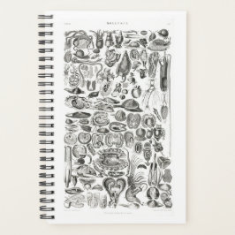 Agenda Vintage Mollusca Sea Ocean Snail Marine