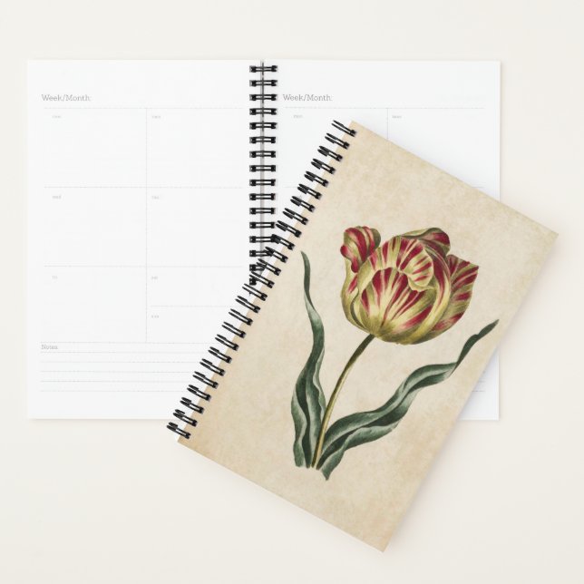 Agenda Vintage Tulipa Floral Botânica (Exibição)