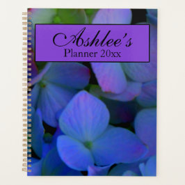Agenda Violeta rosa azul azul Hortênsias azuis flores
