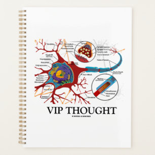 Agenda VIP pensou que Neuron Synapse Neurotransmissor Hum