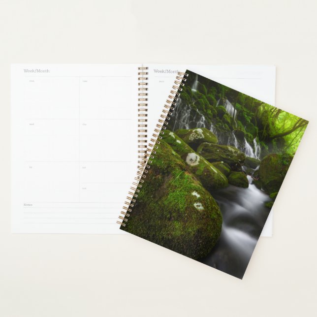 Agenda Waterfalls | Satoyama Kisakata Waterfalls (Exibição)