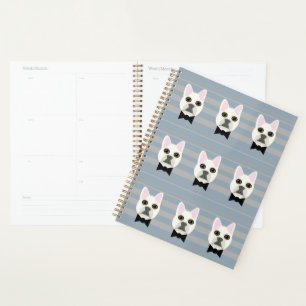 Agenda White French Bulldog, Stripes