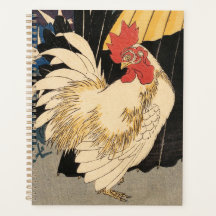 White Rooster