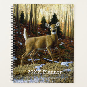 Agenda Whitetail Deer Doe na Floresta de outono