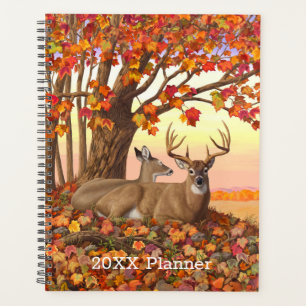 Agenda Whitetail Deer no outono de Nova Inglaterra cai em