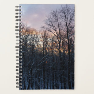 Agenda Winter Sunrise I Pastel Nature Landscape