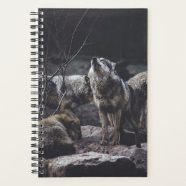Agenda Wolf Pack