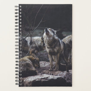 Agenda Wolf Pack
