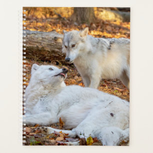 Agenda Wolf Planner 2024
