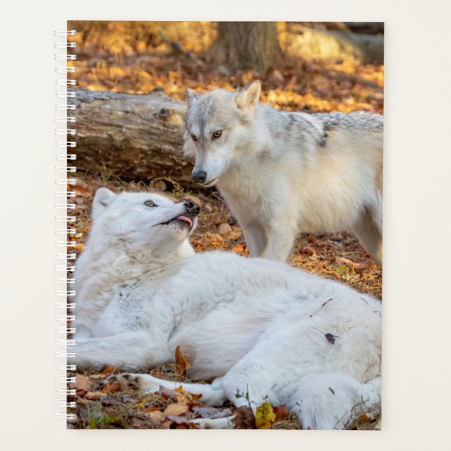 Agenda Wolf Planner 2024 (Frente)
