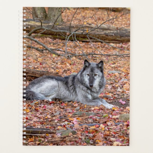 Agenda Wolf Planner 2024 (Frente)