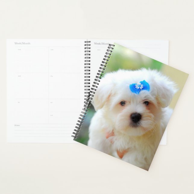 Agenda Yorkie Puppy (Exibição)