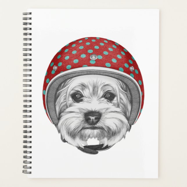 Agenda Yorkshire Terrier Daredevil (Frente)