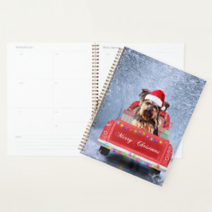 Agenda Yorkshire Terrier Dog Snow no Natal