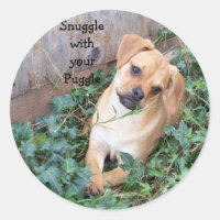 Agitar com o adesivo de Puggle