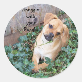 Agitar com o adesivo de Puggle