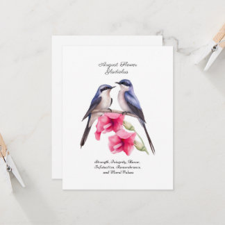 Agosto Mês de Nascimento Flor Gladiolus com Aves